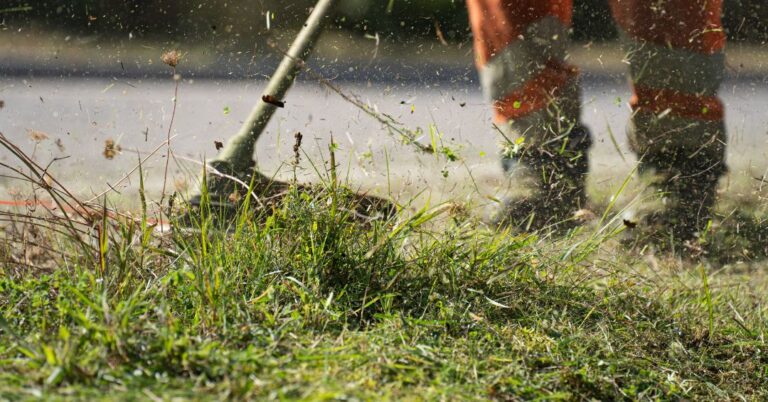corte de grama em Londrina